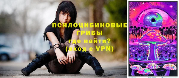 тгк Белокуриха