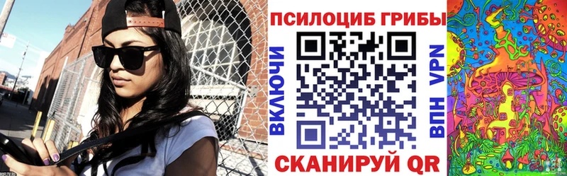 Псилоцибиновые грибы Psilocybe  как найти закладки  Гудермес 
