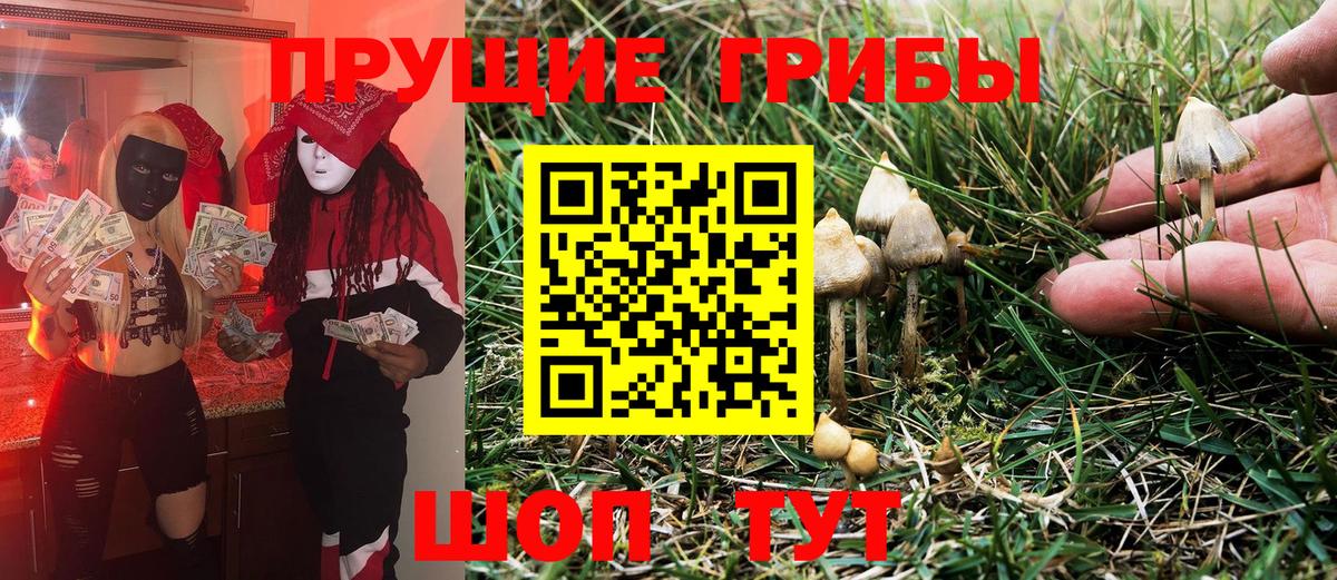 Галлюциногенные грибы прущие грибы Гудермес