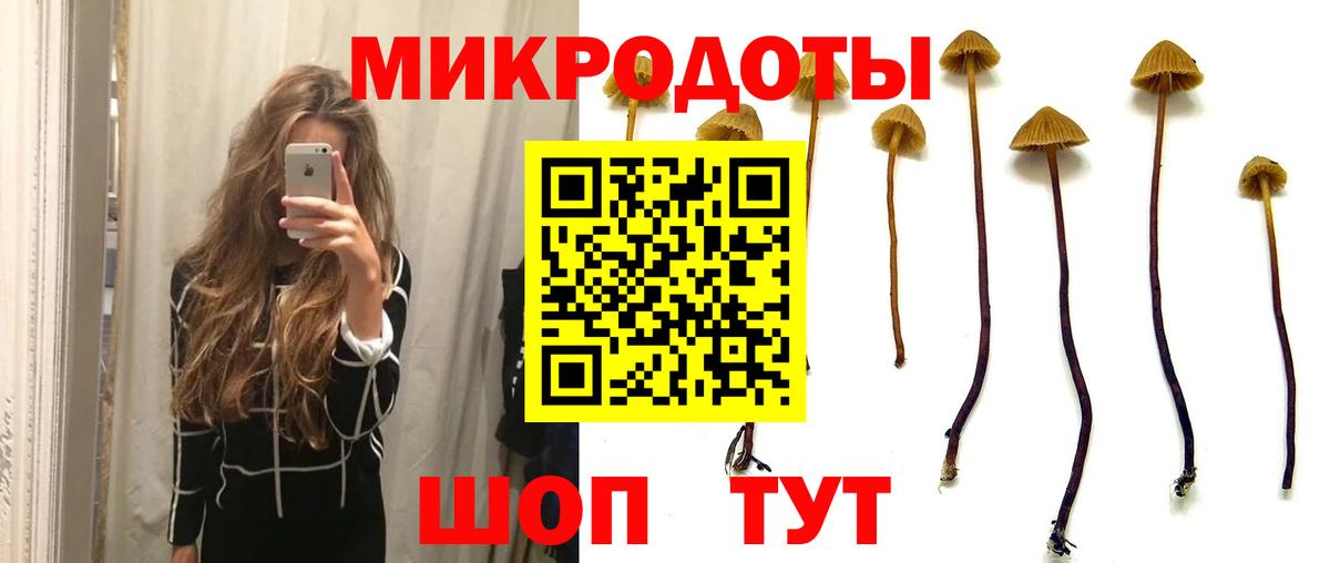 Гудермес  Псилоцибиновые грибы Magic Shrooms  Вход с VPN 